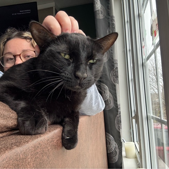 Nice to meet you :) - Picture 12 of 16